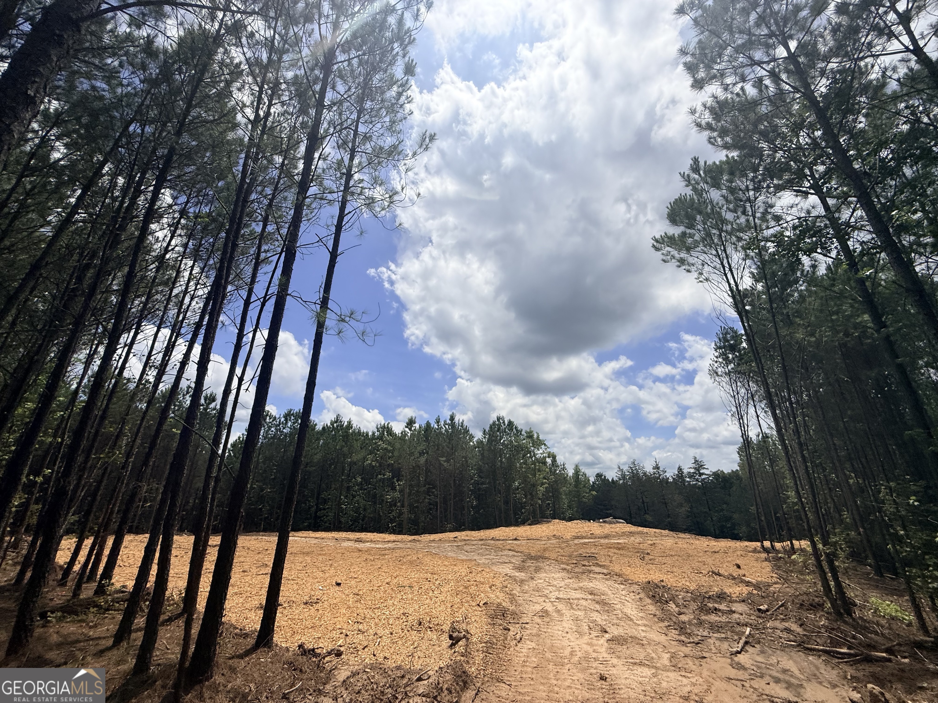 2787 Cedar Creek Road Elberton, GA 30635 - Photo 59 of 88
