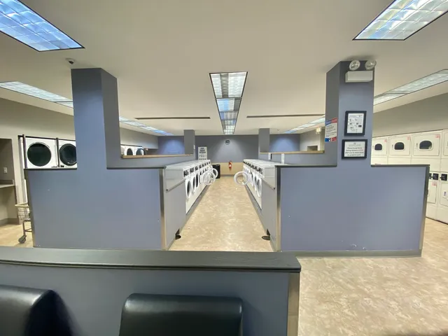 a view of a swimming pool with a garden