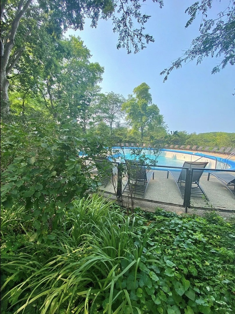 505 North Lake Shore Drive, Unit 3312 Chicago, IL 60611 - Photo 34 of 35 a view of a swimming pool with a garden