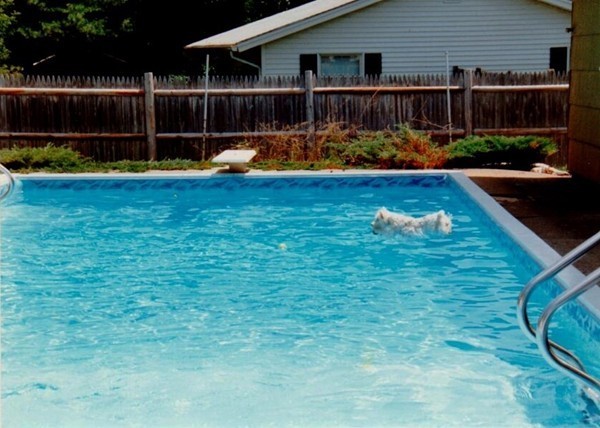 37 Amherst Road Beverly, MA 01915 - Photo 20 of 21 Gallery Image 20