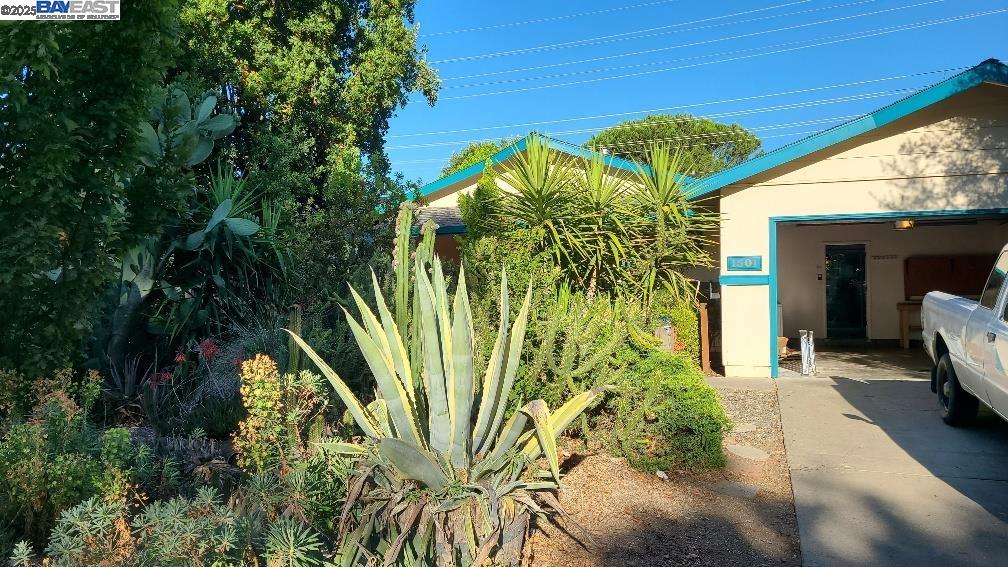a view of a palm plant that is in front of a house