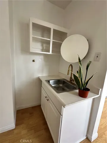 a kitchen with a sink a cabinetry and a potted plant