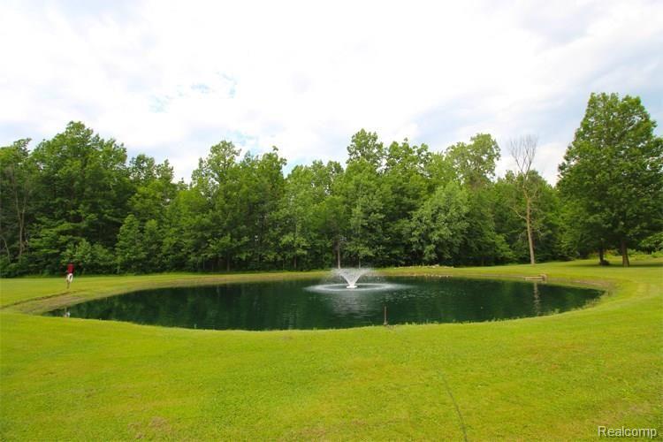 62063 Wolcott Road Ray, MI 48096 - Photo 47 of 53 Pond.jpg
