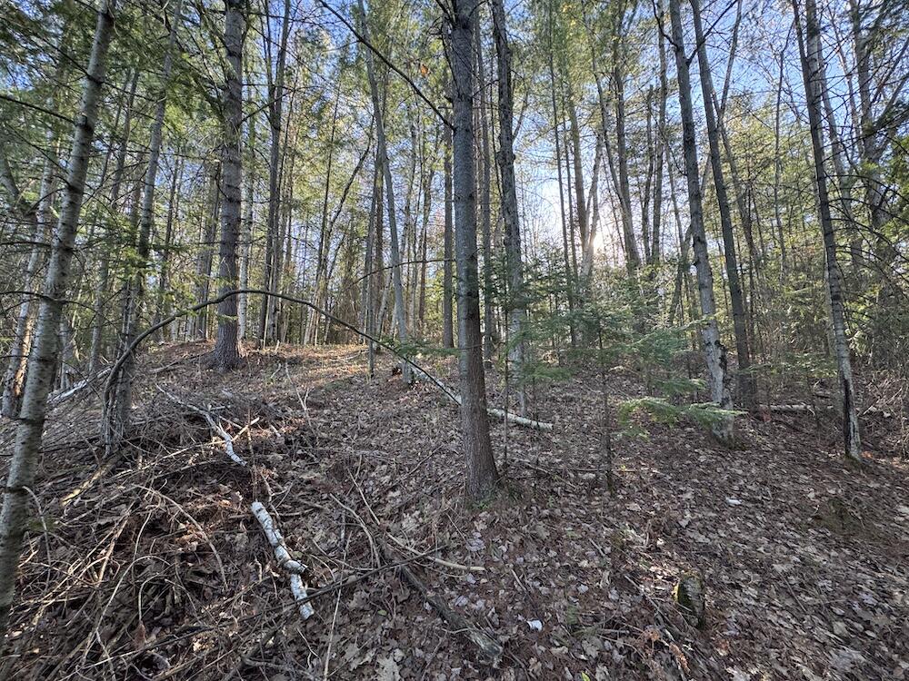 Lot 9 V/l Wildwood Road Alger, MI 48610 - Photo 24 of 40 IMG_2776