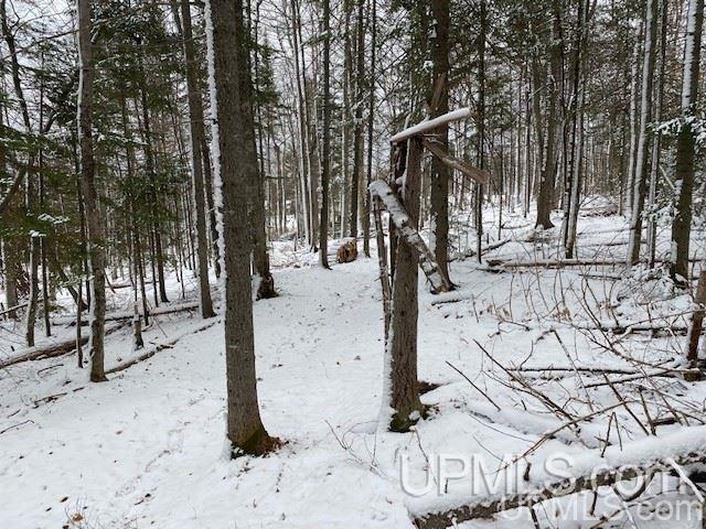 Tbd Tbd Northwoods Road Marquette, MI 49855 - Photo 22 of 31