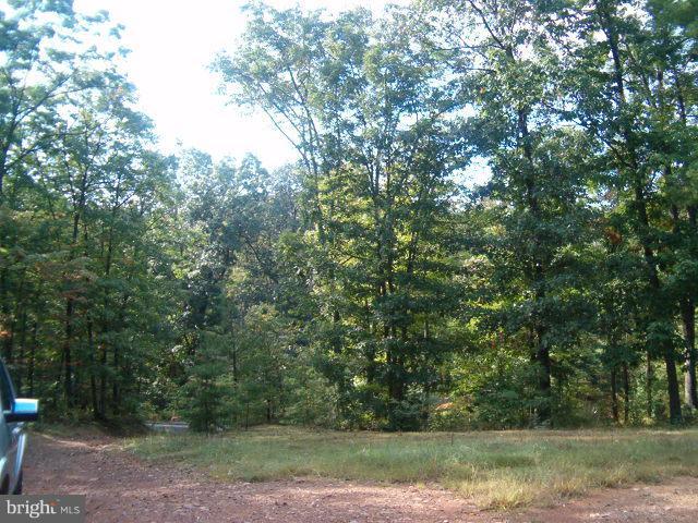 0 Clone Run Road Hedgesville, WV 25427 - Photo 11 of 11 Exterior (General)