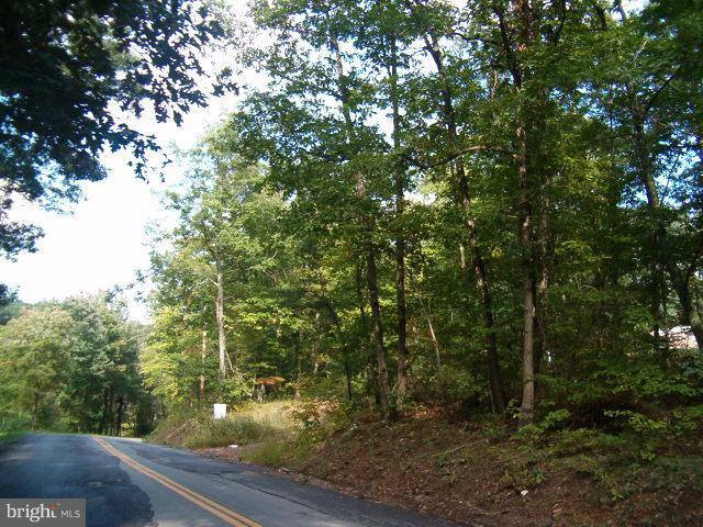 0 Clone Run Road Hedgesville, WV 25427 - Photo 3 of 11 Exterior (General)