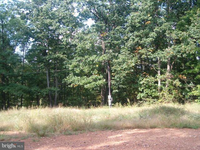 0 Clone Run Road Hedgesville, WV 25427 - Photo 4 of 11 Exterior (General)