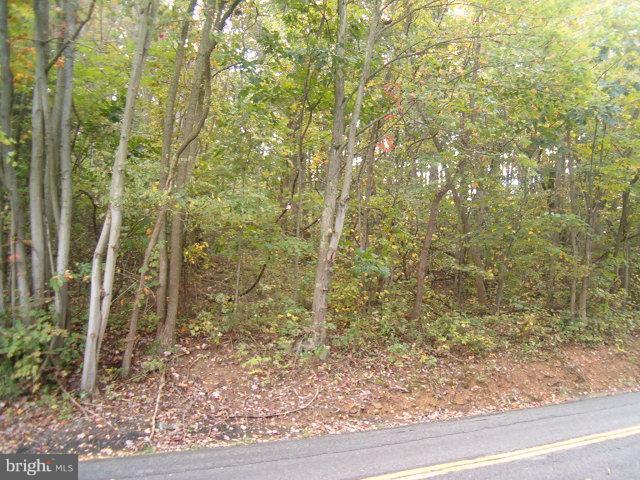 0 Clone Run Road Hedgesville, WV 25427 - Photo 5 of 11 Exterior (General)