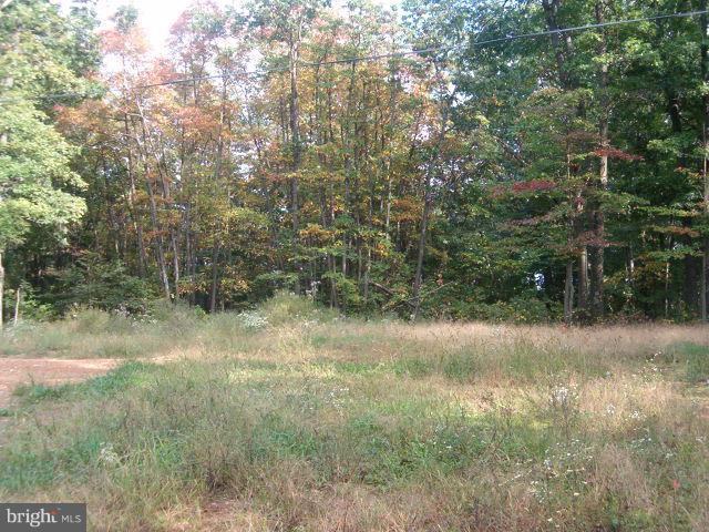 0 Clone Run Road Hedgesville, WV 25427 - Photo 7 of 11 Exterior (General)