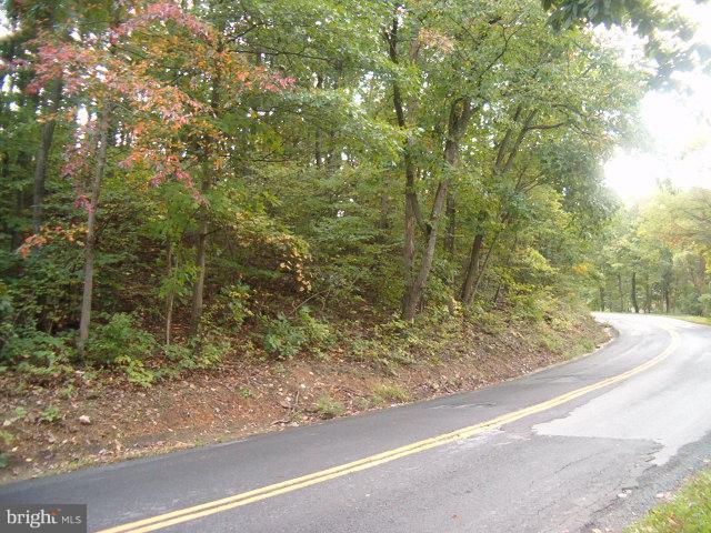 0 Clone Run Road Hedgesville, WV 25427 - Photo 9 of 11 Exterior (General)