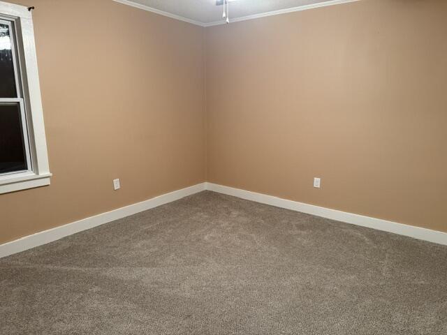 279 Mt Carmel Road Walterboro, SC 29488 - Photo 11 of 21
