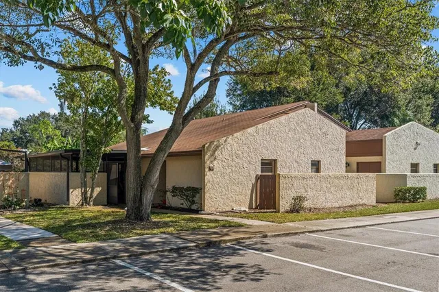 a view of a house with a yard and large tree