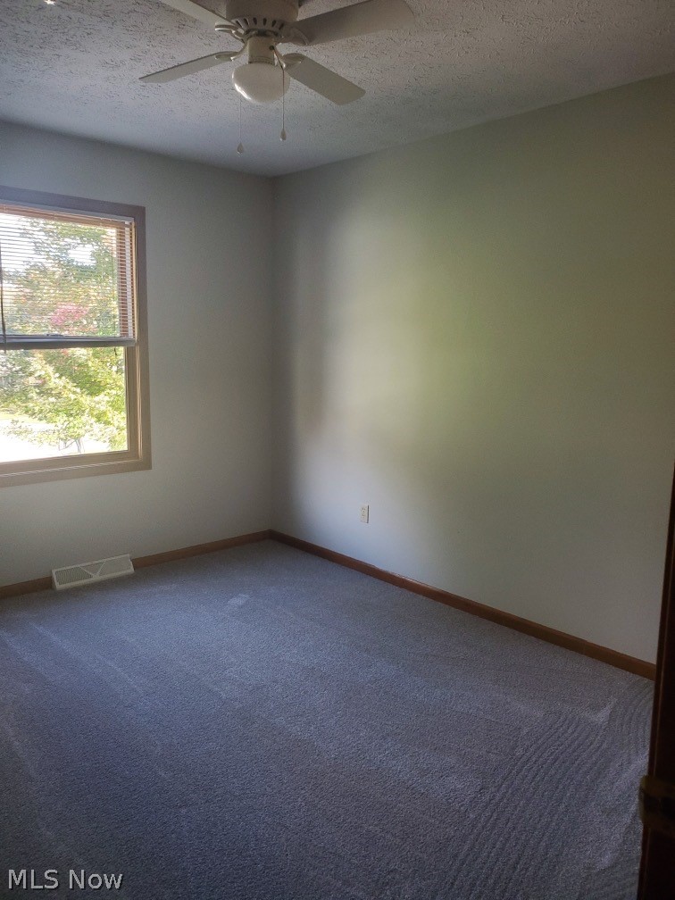 236 Louise Street Rittman, OH 44270 - Photo 8 of 17