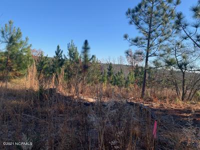 Lot 6 Hoffman Road West End, NC 27376 - Photo 4 of 6 lot6 1