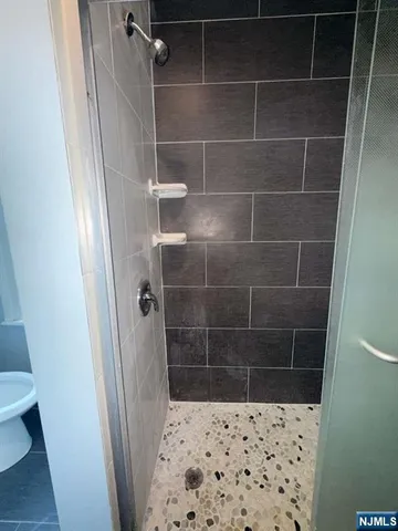 a bathroom with a shower and a toilet