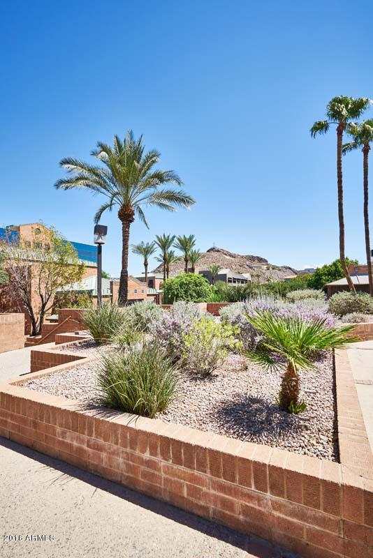 154 West 5th Street, Unit 241 Tempe, AZ 85281 - Photo 19 of 26 Hayden Square-Grounds