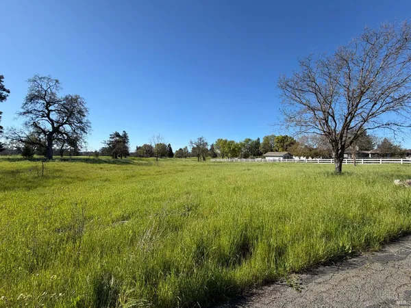 a view of a grassy field with an trees
