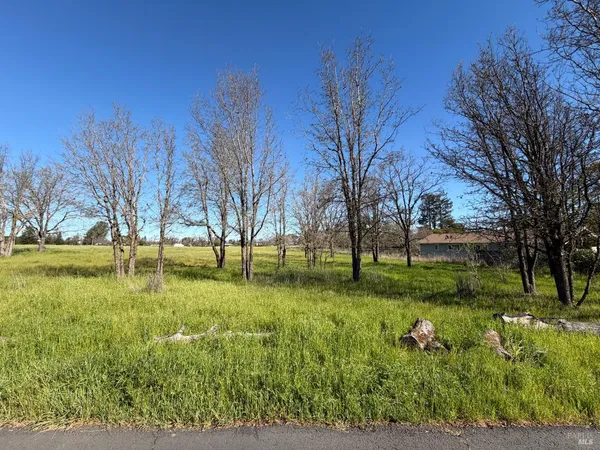 a view of yard with green space