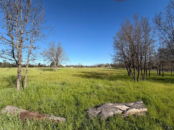 a view of a lake with a yard