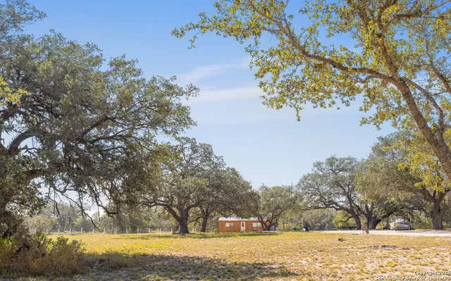 a view of a large body of water with a tree