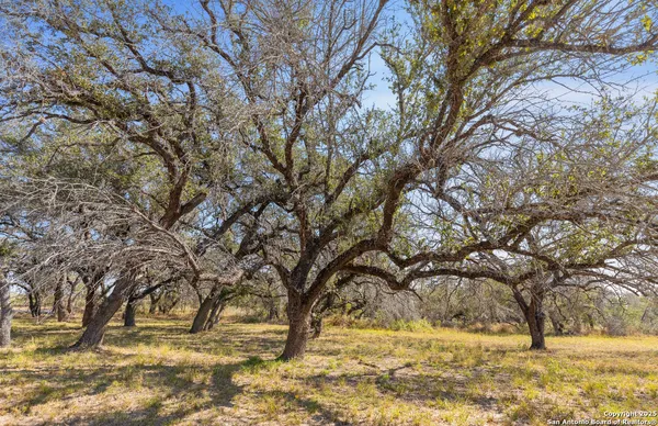 a view of yard covered with snow