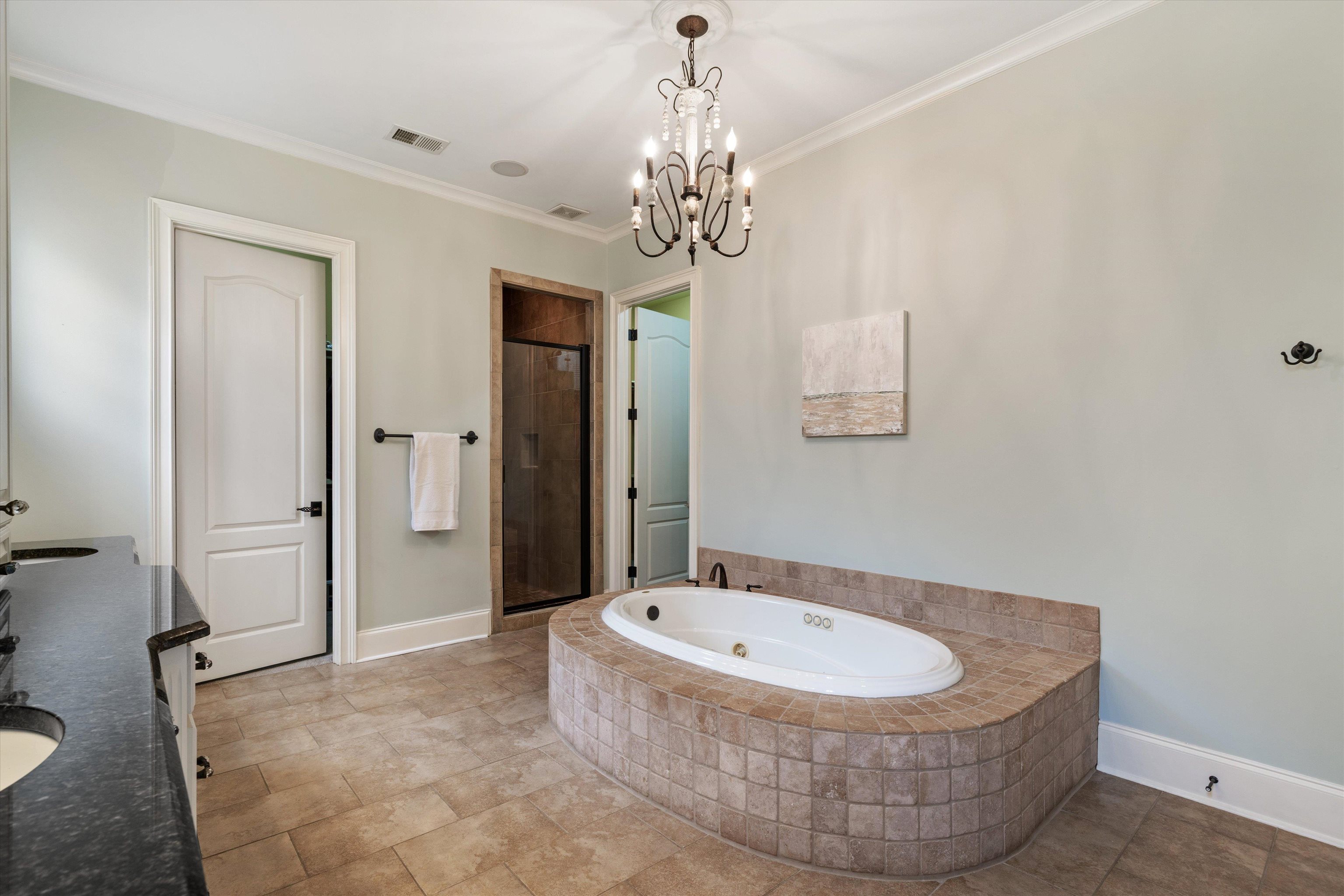 1328 Bridgepointe Drive Collierville, TN 38017 - Photo 21 of 40 Full bathroom with double vanity, a whirlpool tub, a shower stall, crown molding, and suspended lighting