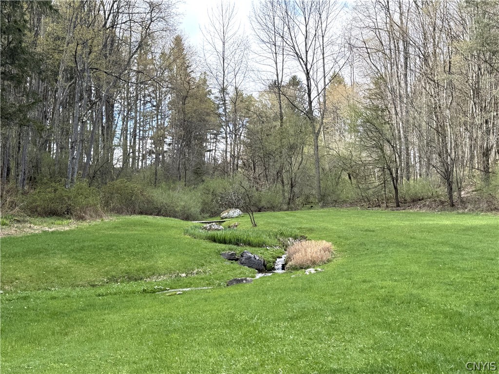 2729 West Hill Road Madison, NY 13346 - Photo 44 of 46 partially wooded yard