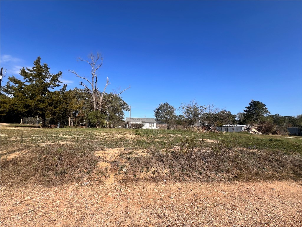 1400 Allen Road Brenham, TX 77833 - Photo 2 of 10 a view of a field with a tree
