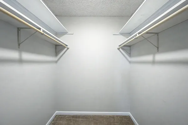 a bathroom with a shower sink vanity and mirror