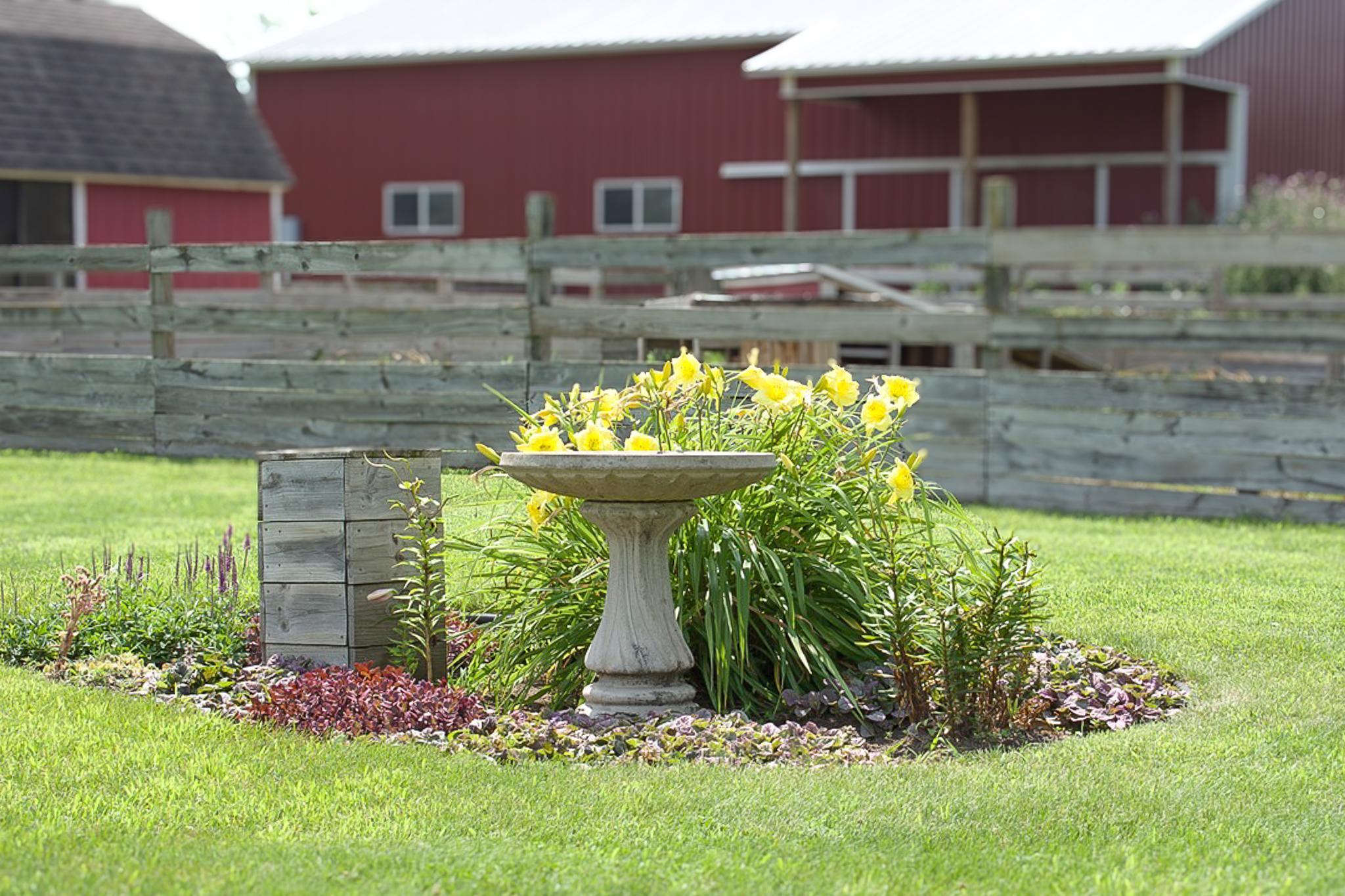 11688 40th Street Bowlus, MN 56314 - Photo 87 of 102