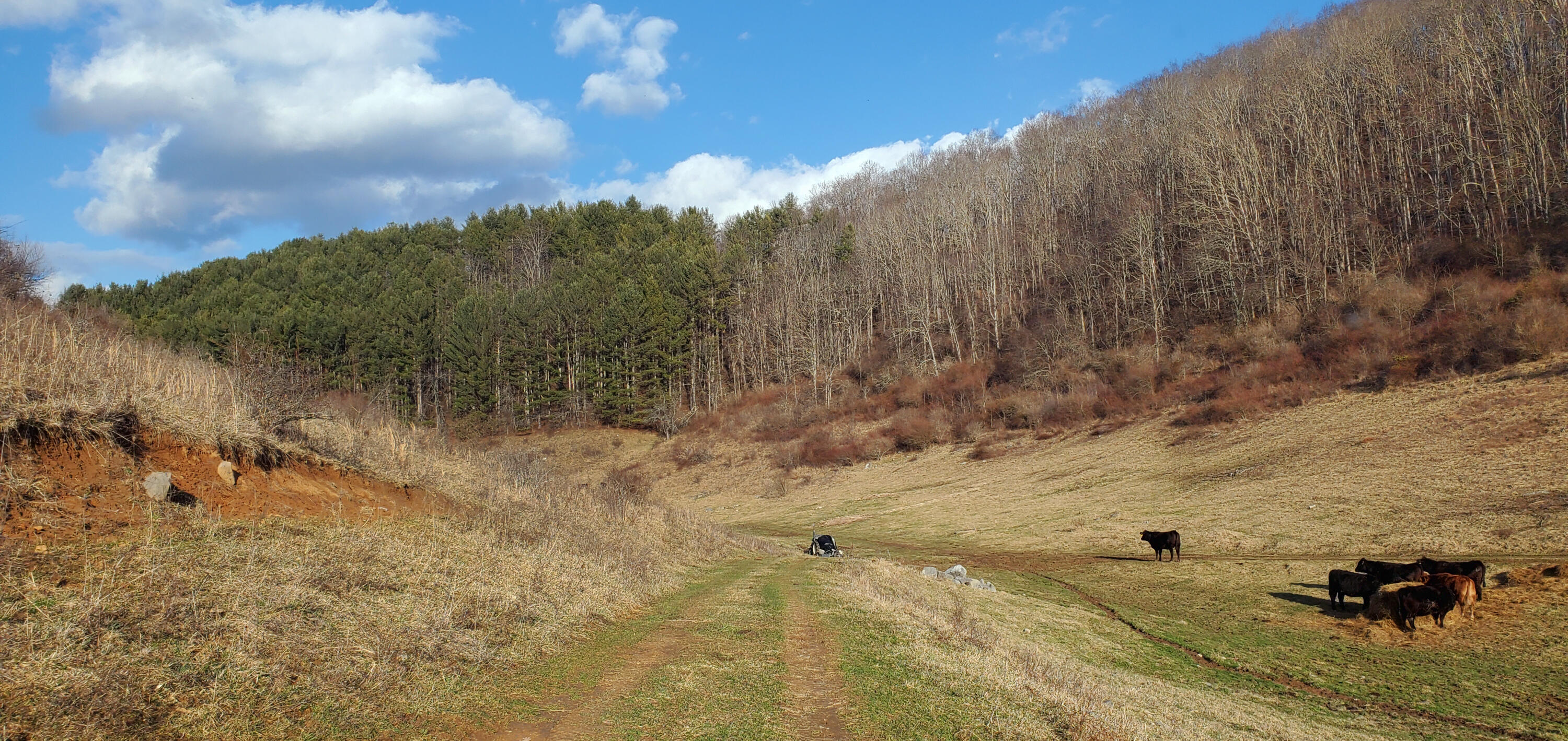 Davis Stuart Road Lewisburg, WV 24901 - Photo 34 of 72 Gallery Image 34