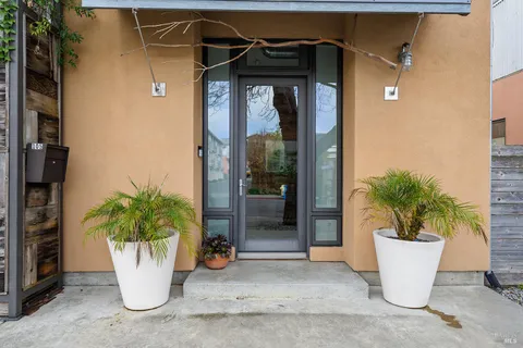 a view of a potted plant in front of a door