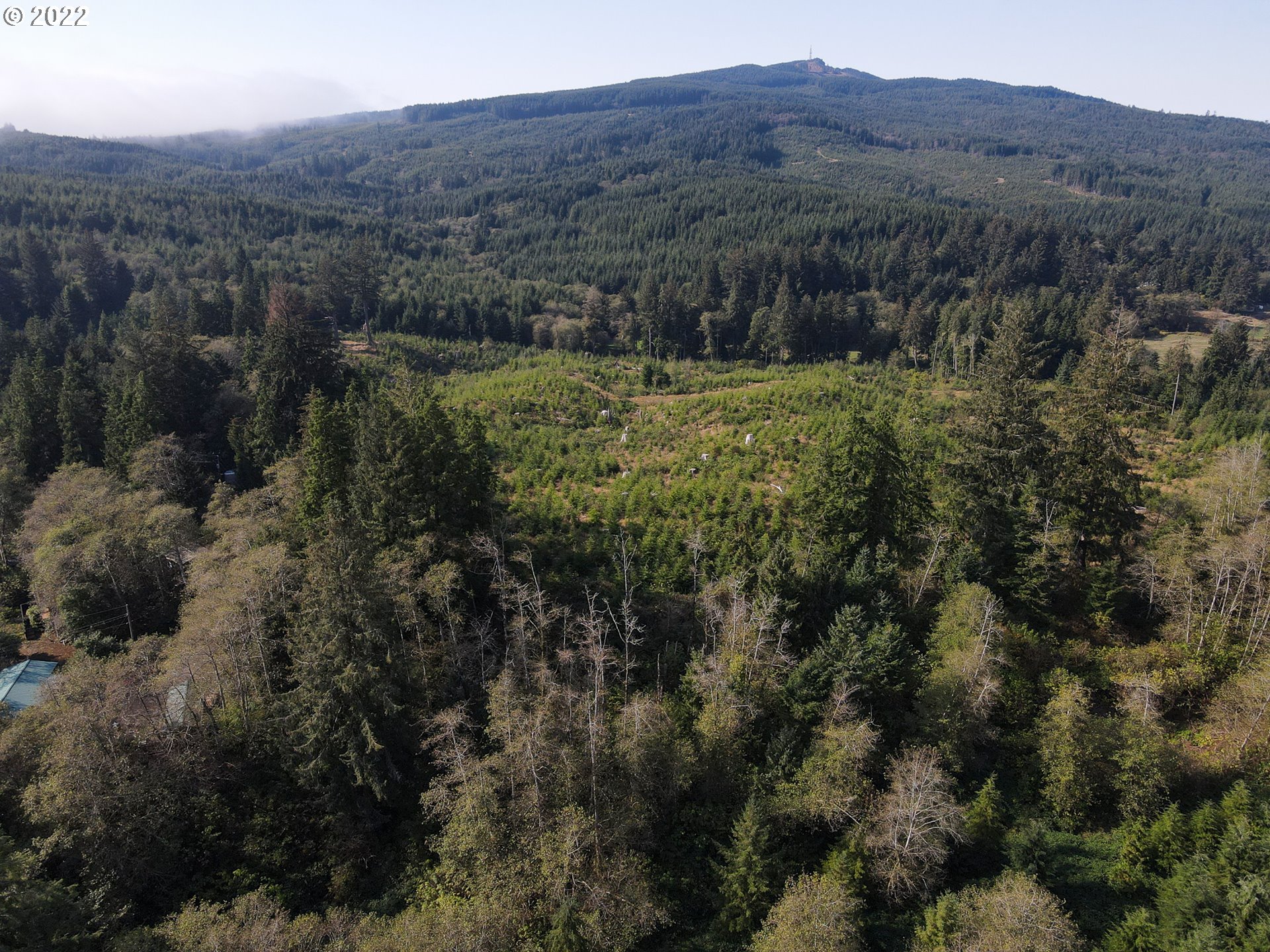 Deer Road, Unit LOT26 Tillamook, OR 97141 - Photo 11 of 13 Gallery Image 11