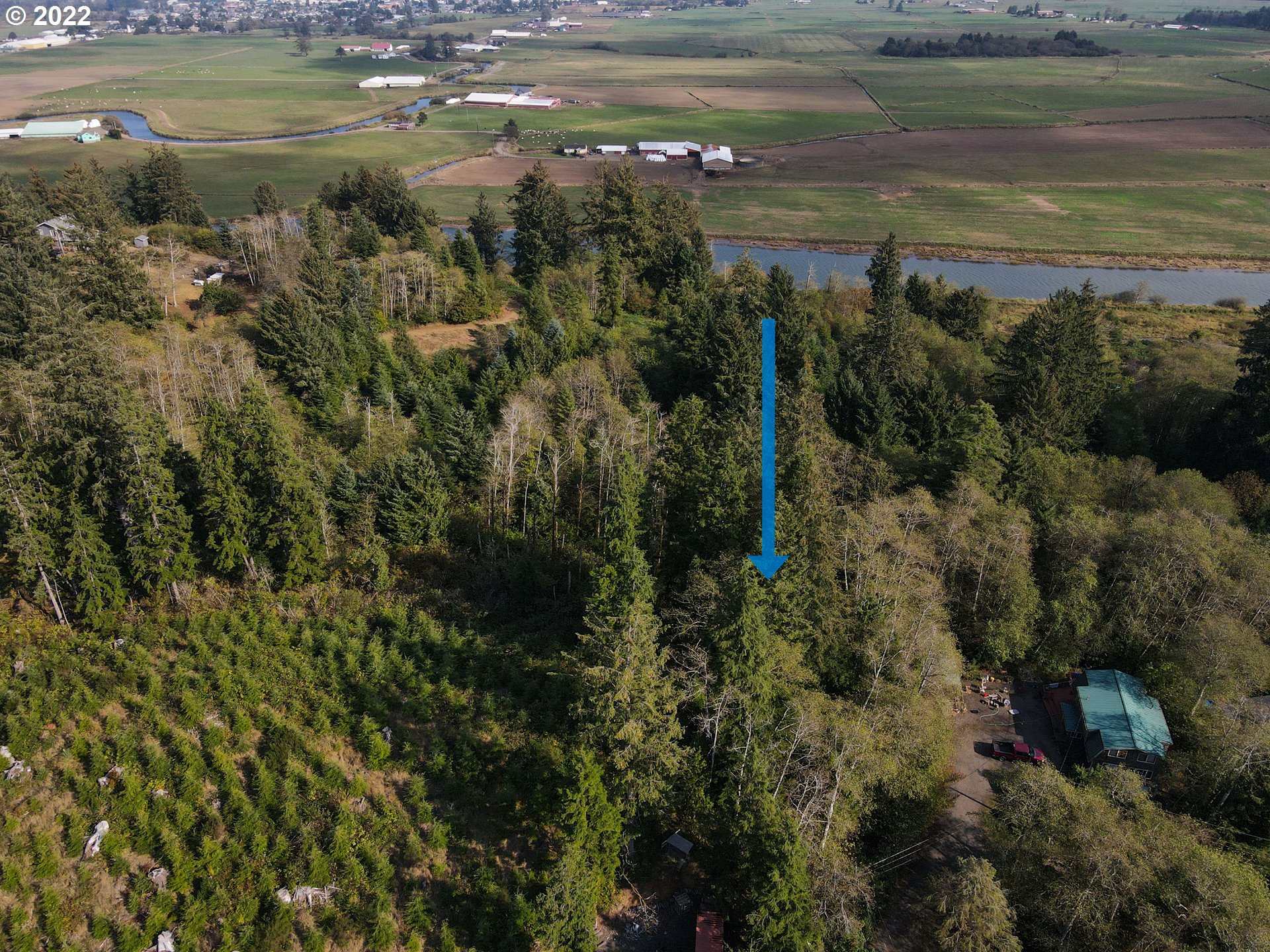 Deer Road, Unit LOT26 Tillamook, OR 97141 - Photo 4 of 13 Gallery Image 4
