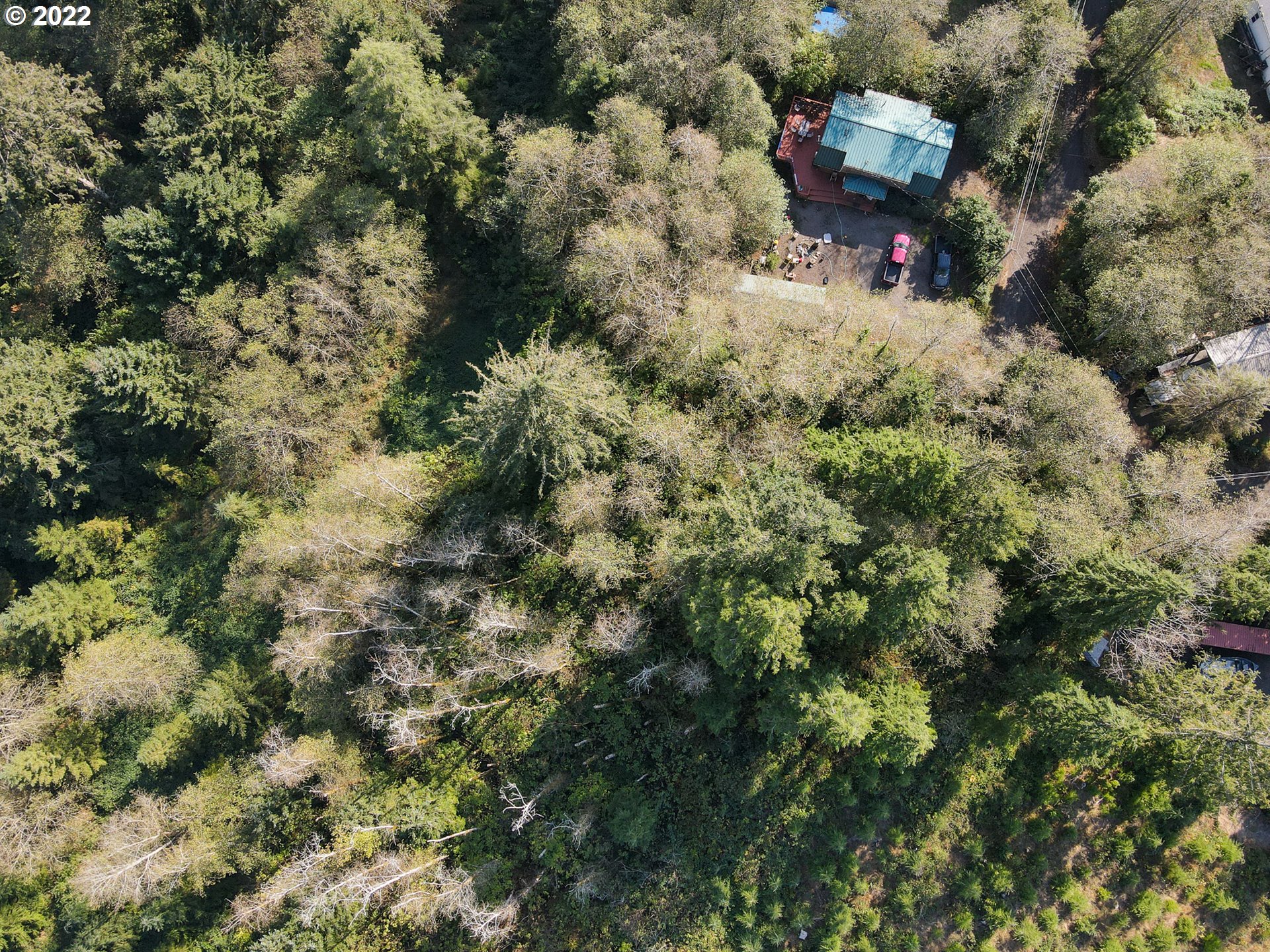 Deer Road, Unit LOT26 Tillamook, OR 97141 - Photo 5 of 13 Gallery Image 5