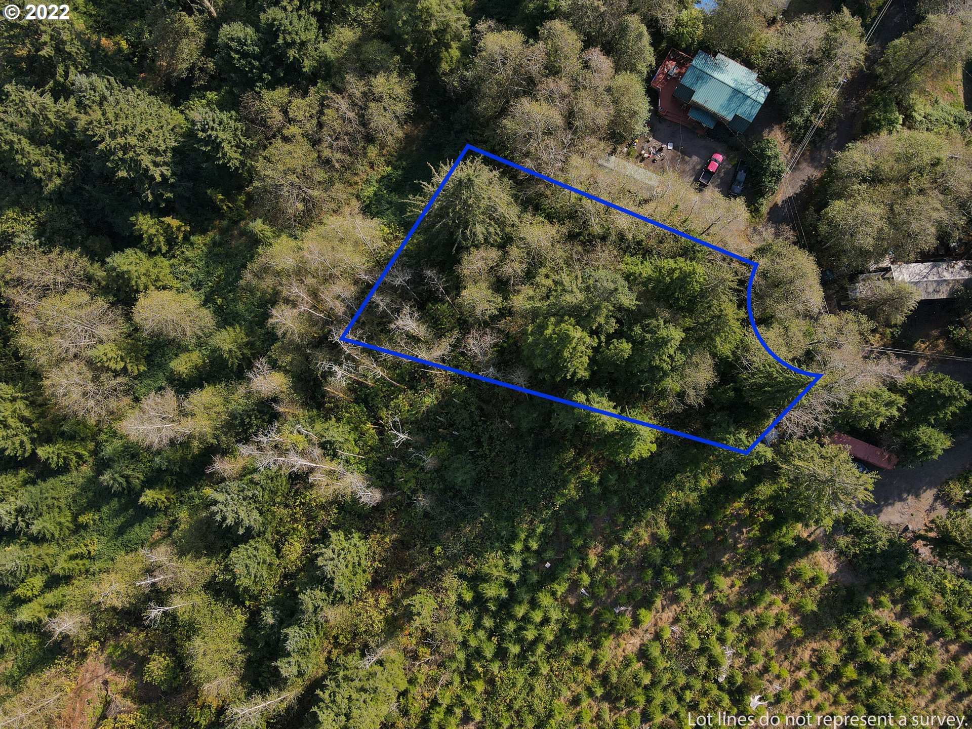 Deer Road, Unit LOT26 Tillamook, OR 97141 - Photo 6 of 13 Gallery Image 6