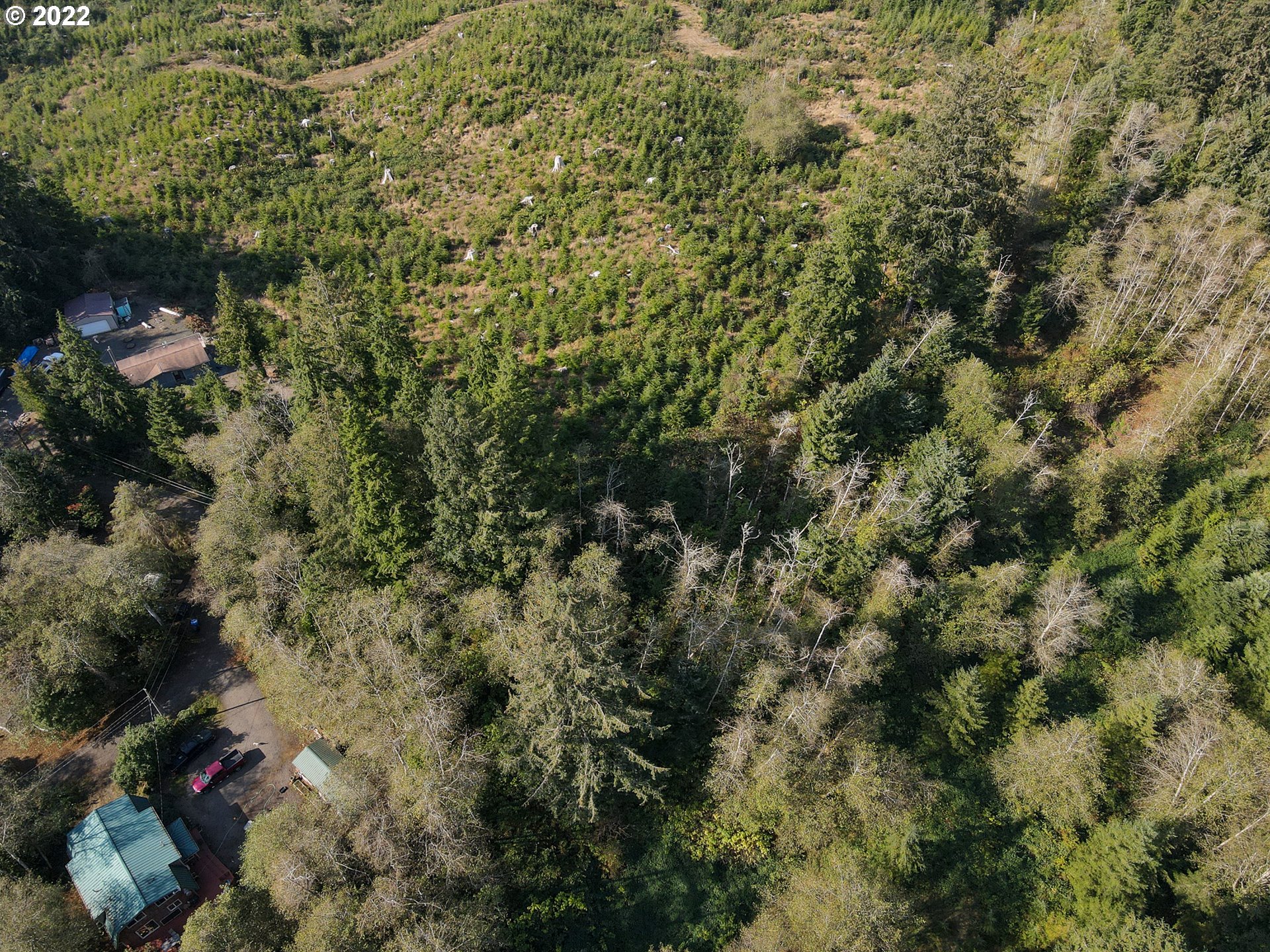 Deer Road, Unit LOT26 Tillamook, OR 97141 - Photo 8 of 13 Gallery Image 8