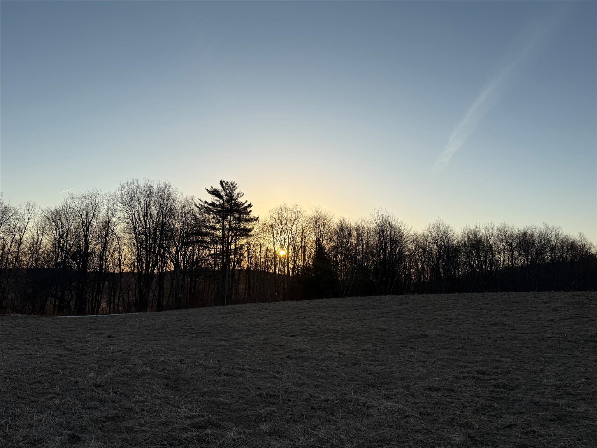 2182 Snake Hill Road Walton, NY 13856 - Photo 2 of 9 View of yard at dusk