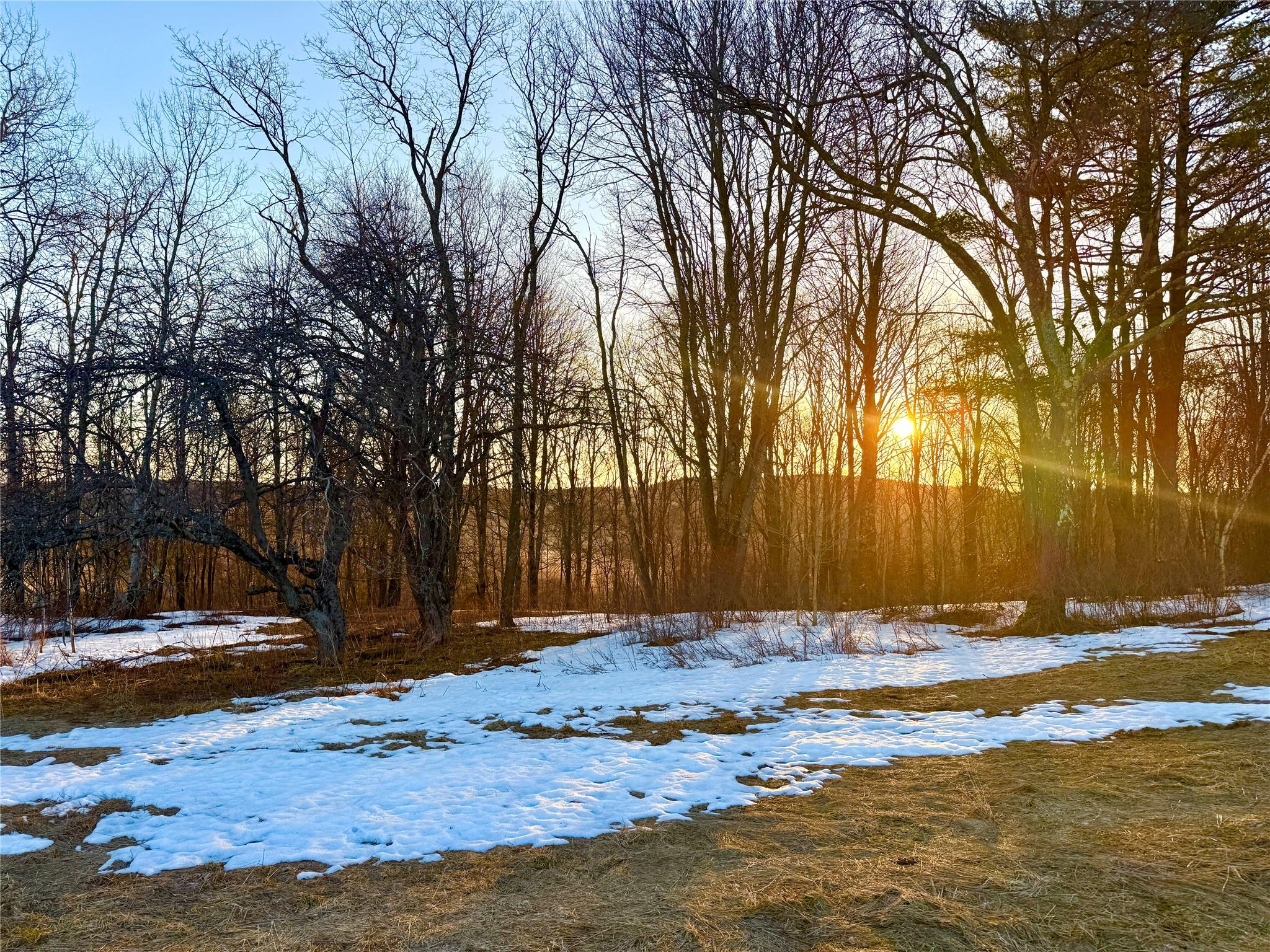 2182 Snake Hill Road Walton, NY 13856 - Photo 4 of 9 View of snowy yard