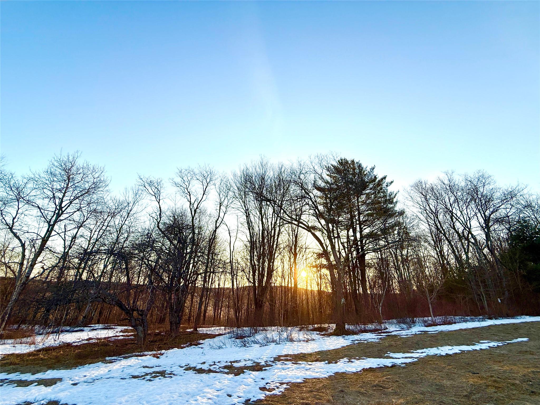 2182 Snake Hill Road Walton, NY 13856 - Photo 5 of 9 View of yard covered in snow