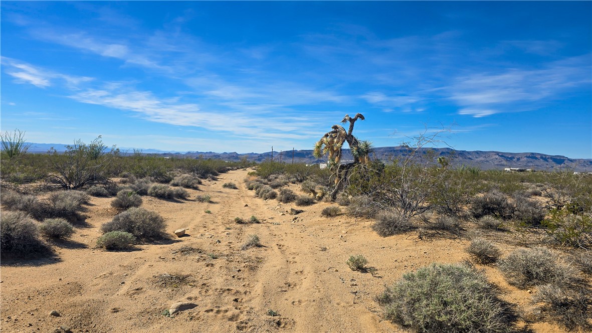 245-21-008 South Ray Road Yucca, AZ 86438 - Photo 4 of 19