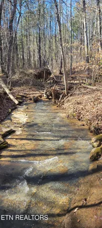 $1,697,500 | 700-ac Puncheon Creek Lane, Livingston, TN 38570