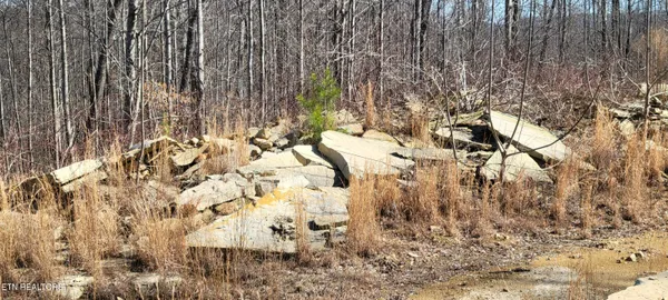 $1,697,500 | 700-ac Puncheon Creek Lane, Livingston, TN 38570