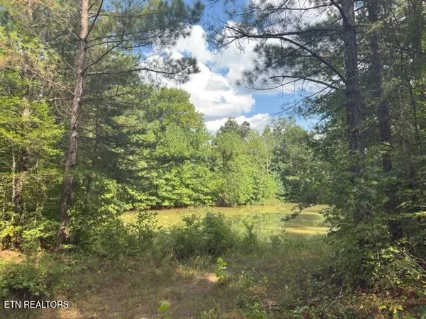 $1,697,500 | 700-ac Puncheon Creek Lane, Livingston, TN 38570