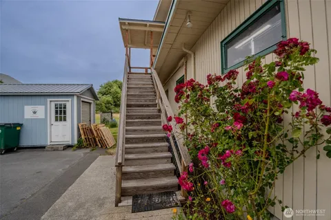 a view of a backyard