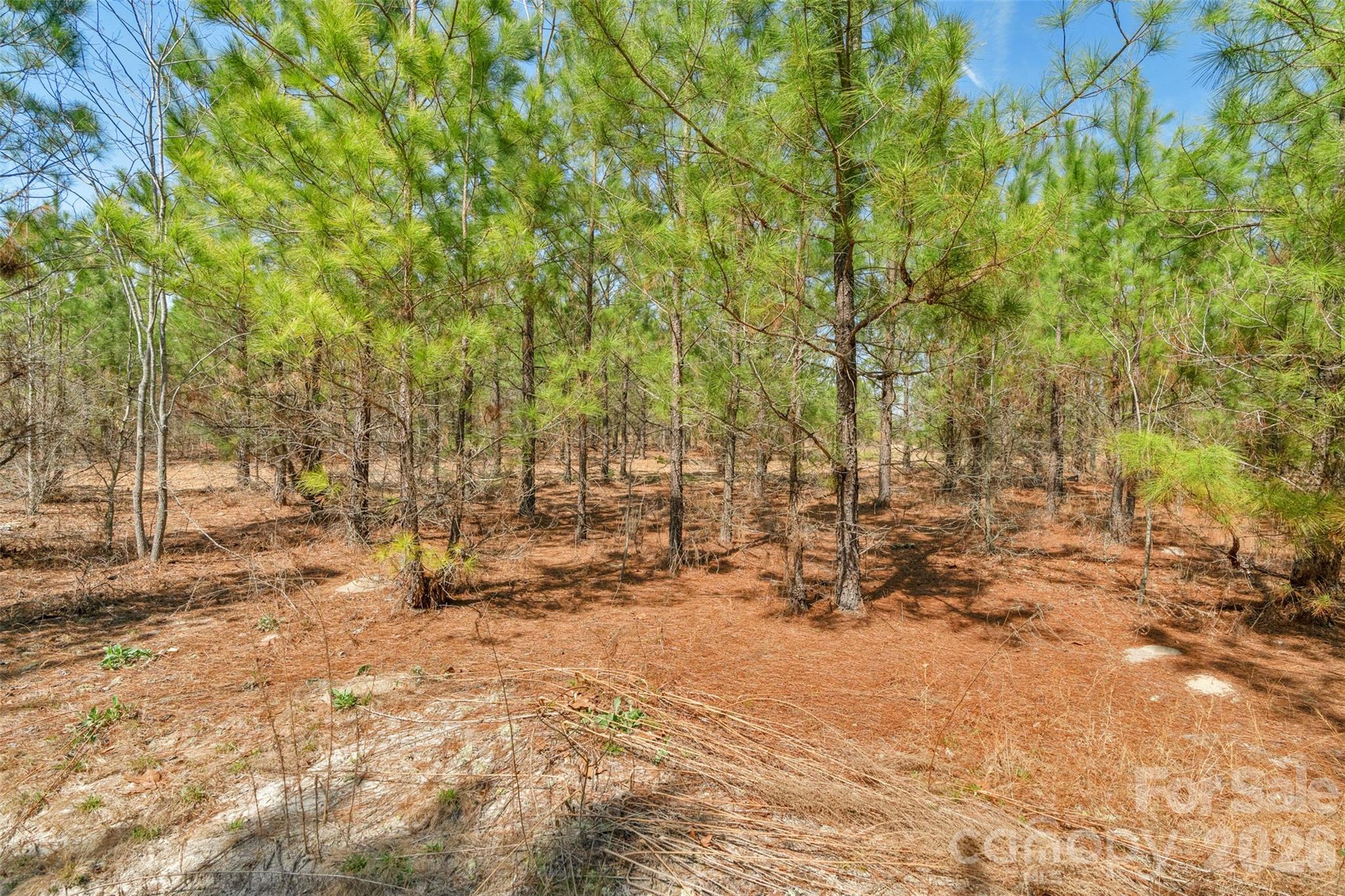 931 Charlie Johnson Road, Unit 9 Kershaw, SC 29067 - Photo 17 of 32 Gallery Image 17