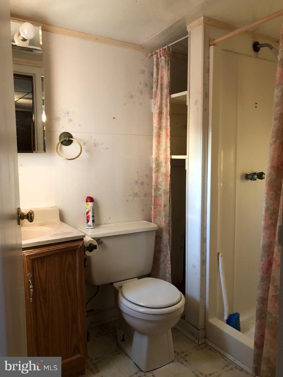 9848 Rocky Ridge Road Rocky Ridge, MD 21778 - Photo 14 of 25 Mater Bath