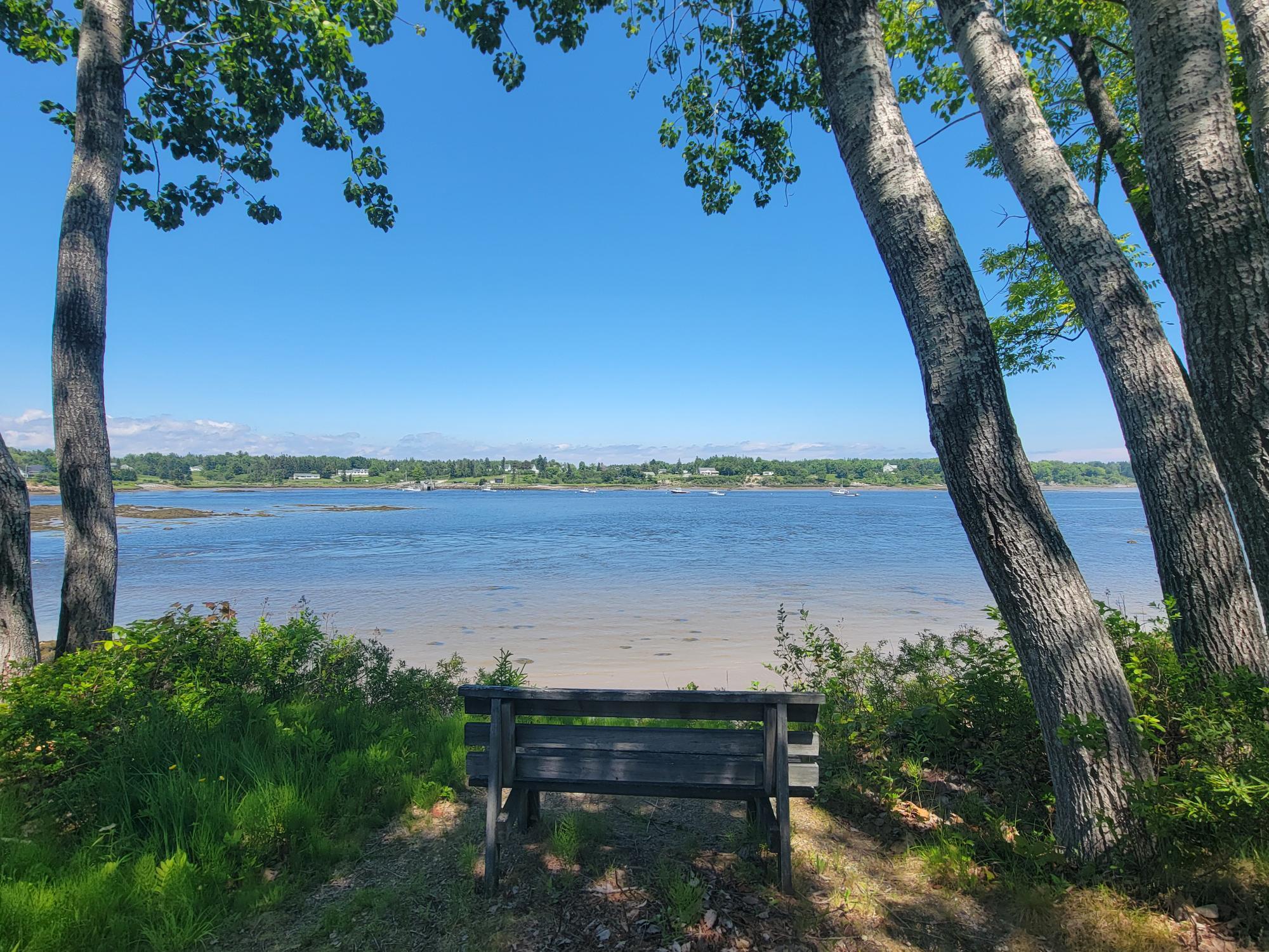 25 Bridge Street Milbridge, ME 04658 - Photo 59 of 59 Park Bench