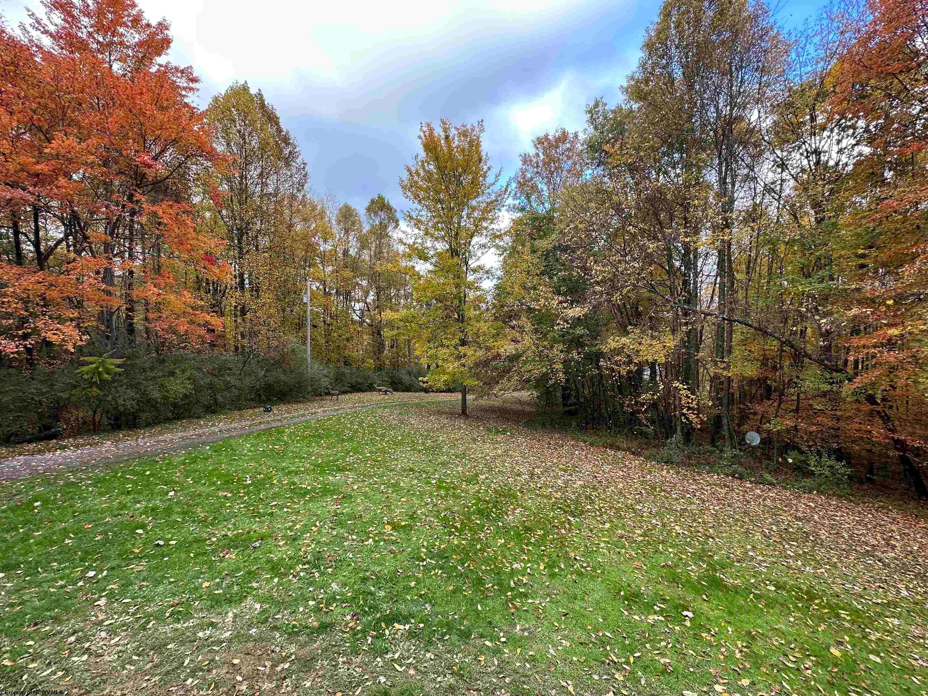 149 Sacks Run Road Kingwood, WV 26537 - Photo 11 of 48 Gallery Image 11